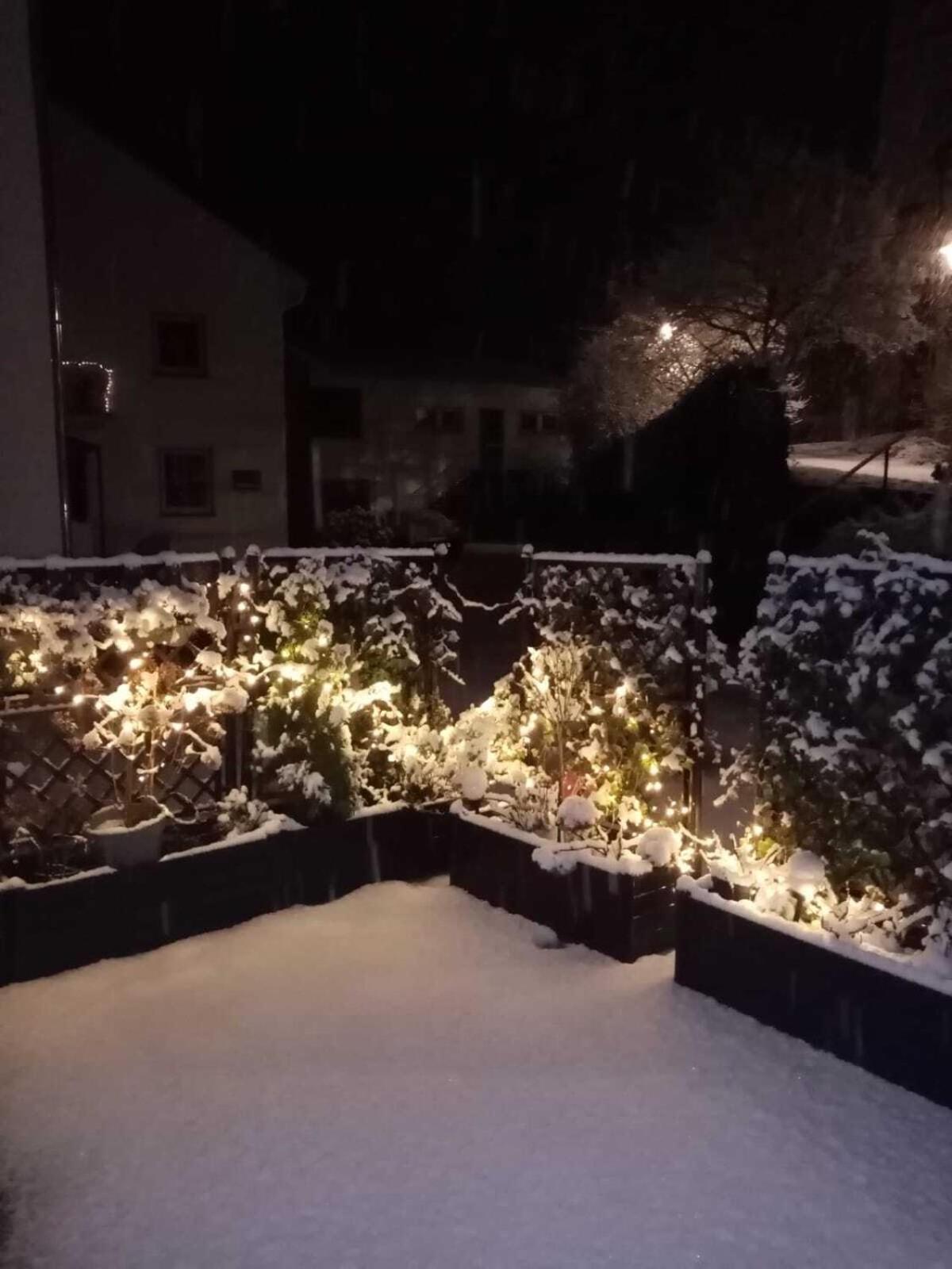 Hotel Zur Mosel Minheim 外观 照片