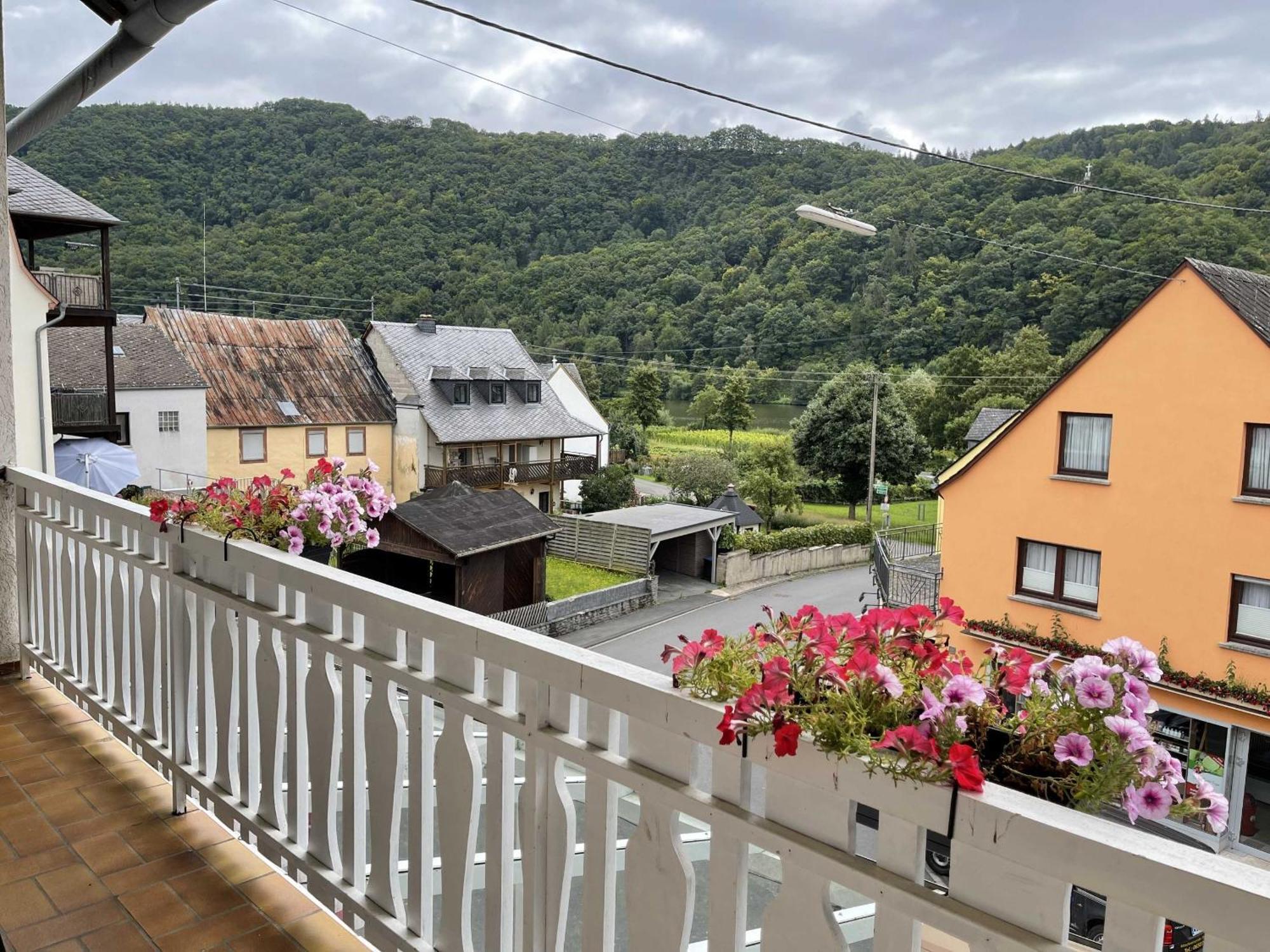 Hotel Zur Mosel Minheim 外观 照片